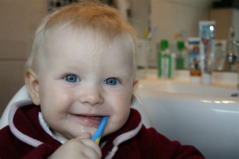 Preparing For Your Baby S First Dental Visit Everything You Should