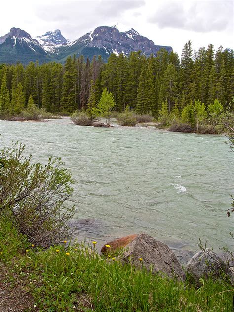 Bow River From Bow River Trail In Banff Np Ab Photograph
