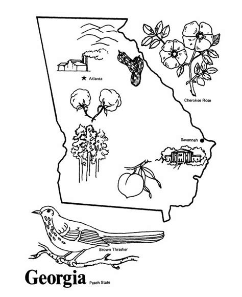 Georgia State Symbols Coloring Pages Flag Coloring Pages Georgia