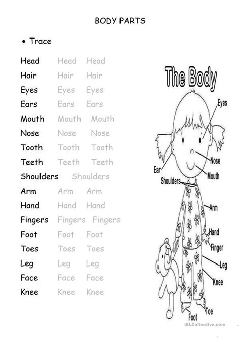 Pin On Teaching Vocabulary