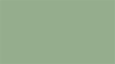 Greenish Grey Solid Color Background Image Free Image Generator