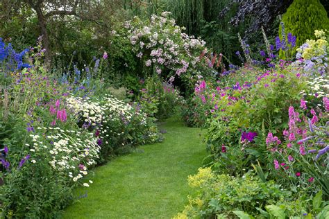 These five plants work well to create a small cottage garden planting scheme. Cottage Garden Style