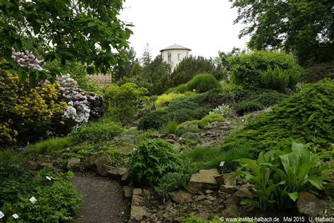 Botanischer garten der universität halle | botanische gärten, arboreten und parks in deutschland. Botanischer Garten in Halle an der Saale