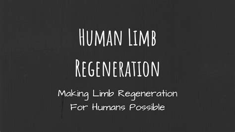 Human Limb Regeneration Youtube