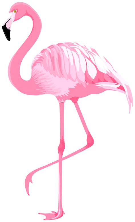 How To Draw Flamingo Flamingo Craft Flamingo Art Print Flamingo
