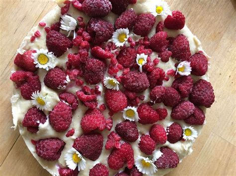 Mein veganer himbeerkuchen ist der beste beweis dafür, dass man zum backen keine tierischen produkte braucht. Himbeer Cashewcreme Kuchen vegan - rohvegan Rezept - Vamily.de