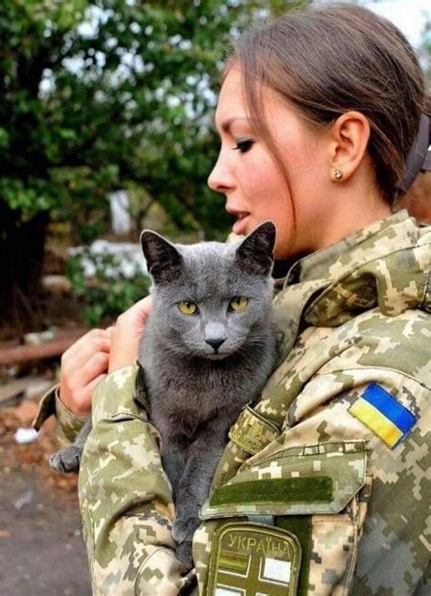 Most Heartwarming Cat Rescue Stories Coming From Heroic People In