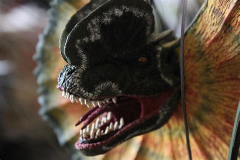 Jurassic Park Dilophosaurus By Yankeetrex On Deviantart
