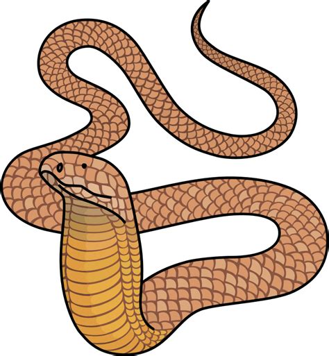 King Cobra Openclipart