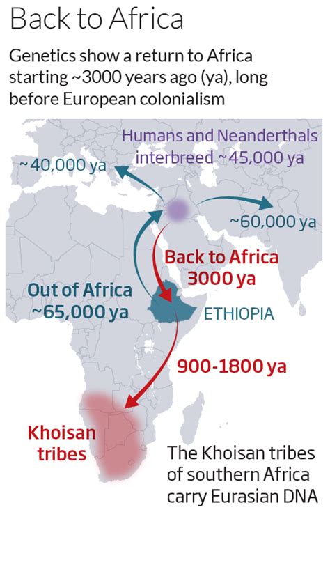 Eurasian Genes Found In Southern African Dna Unearthed