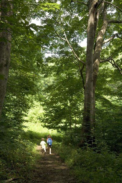 Ny State Parks To Offer Guided Hikes On New Years Day For The First