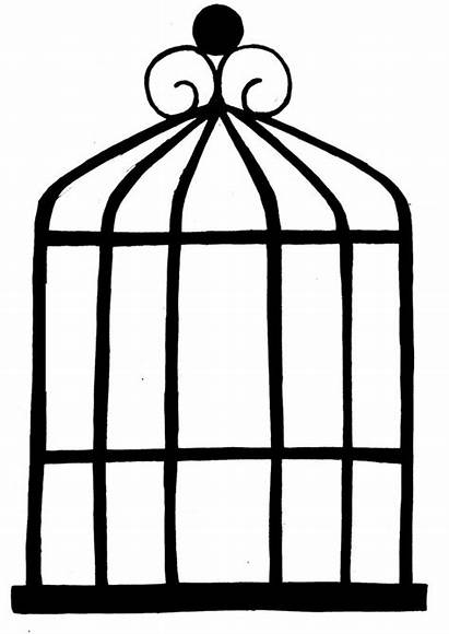 Cage Bird Birdcage Clipart Drawing Simple Clip