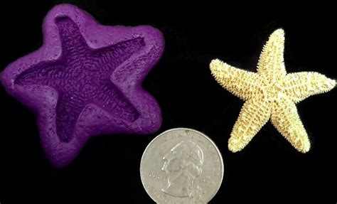 38 Mm Starfish Or Sea Star Mold Flexible By Beadcomber On Zibbet