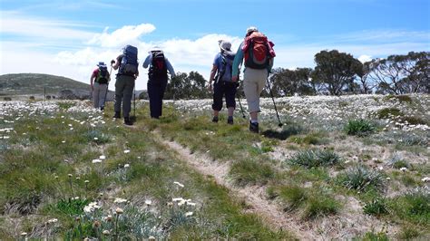 Auswalk Great Alpine Group Guided Walking Holiday Tour Melbourne