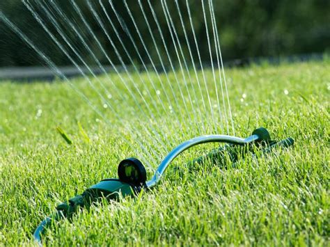 Proper Lawn Watering T And T Landscaping