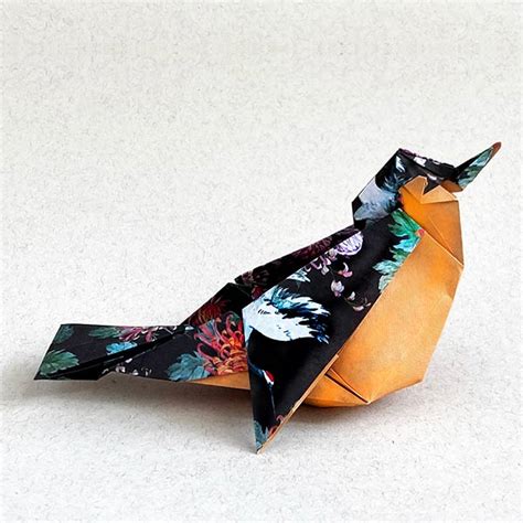 Origami Mastery Himanshu Agrawal Leyla Torres Origami Spirit