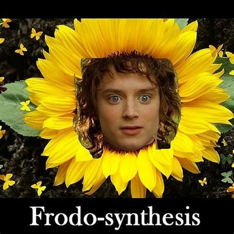 Frodo Synthesis Youtube