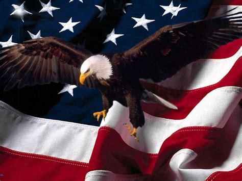44 Bald Eagle American Flag Wallpaper On Wallpapersafari