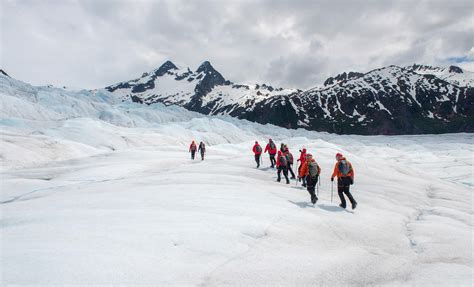 Mendenhall Glacier Trek Hike And Climb Shore Trips Juneau Alaska