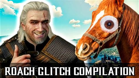 Roach Glitch Compilation The Witcher 3 Wild Hunt Youtube