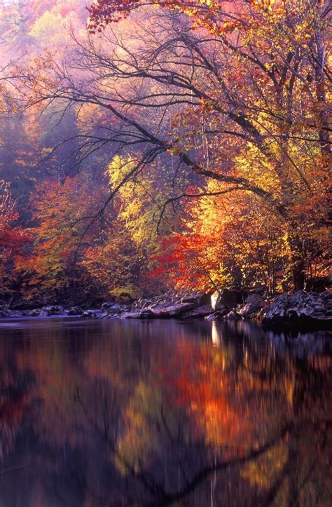 Serene Autumn Lake Scene Beautiful Landscapes Beautiful Nature