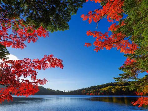 Best Nature Wallpaper (58+ images)