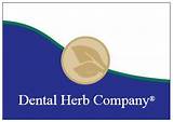 The Dental Herb Company