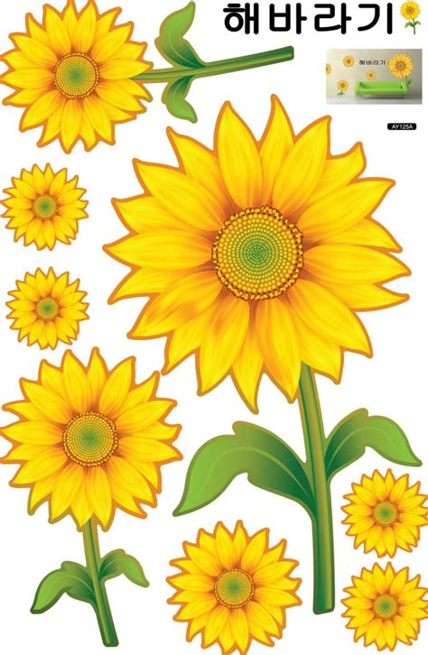 Bunga Matahari Berwarna Halaman Download 25 Sketsa Bunga