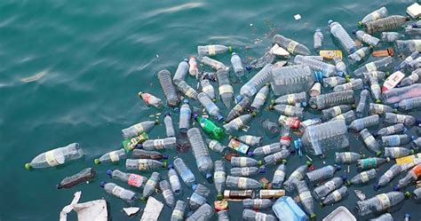 Okyanuslardaki Plastik Kirliliğinin Korkutan Boyutu Webtekno