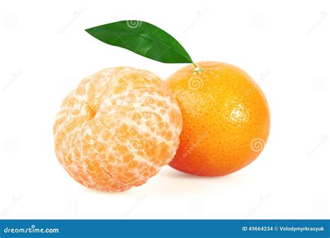 Tangerine Or Mandarin Fruit Stock Photo Image Of Freshness Healthy