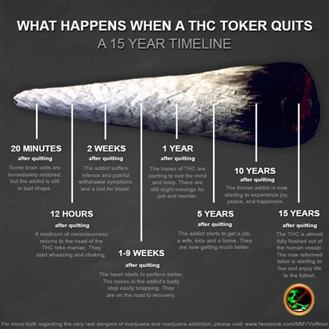 The official page of the u.s. What Happens When You Quit Smoking Weed Timeline