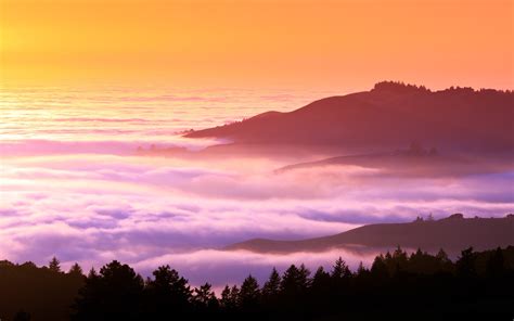 Landscapes Trees Hills Fog Mist California Wallpapers Hd Desktop