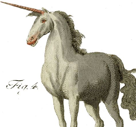 Vintage Unicorn Image Unicorn Images Unicorn Illustration Graphics
