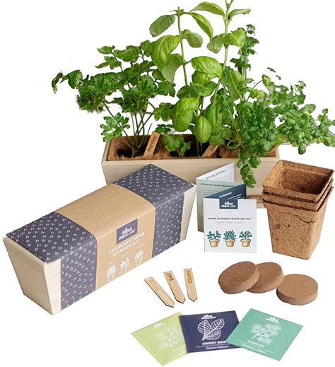 The 9 Best Herb Garden Kits Of 2022