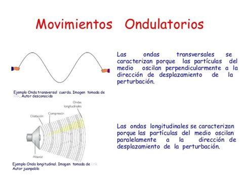 Ejemplos De Movimientos Ondulatorios