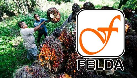 Linseed oil to malaysia wholesale from malaysia, malaysia, malaysia, malaysia. Felda pushes for higher palm oil prices ahead of elections ...