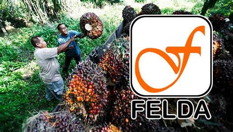 Free malaysia today10 hours ago. Felda pushes for higher palm oil prices ahead of elections ...