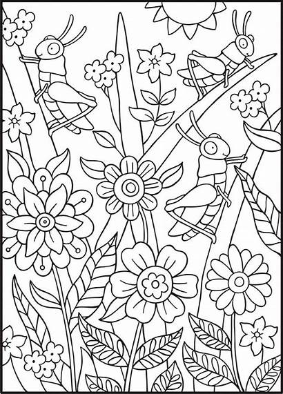 Coloring Pages Sheets Summer Bugs Dover Adult