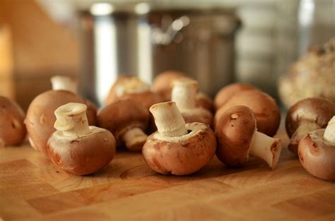 How To Cook Mushrooms Everyday Guide