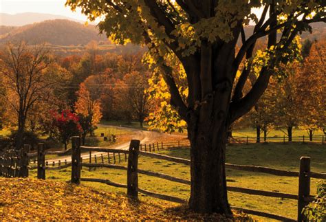 16 Pros And Cons Of Living In Vermont Vittana Org