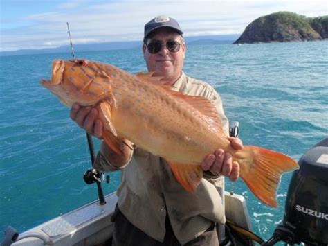 Cairns Fishing Charter Guide For Blue Water Light Tackle Sports Fishing