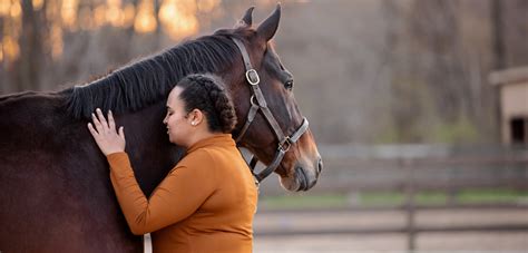 Equine Welfare Help Horses Aspca
