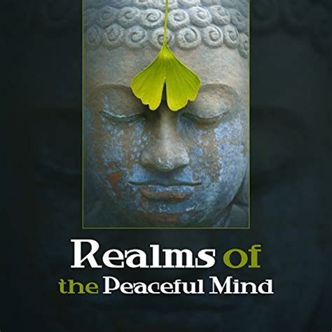 Realms Of The Peaceful Mind Music That Heal The Soul