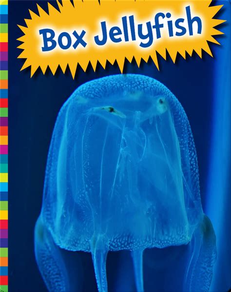 Box Jellyfish Childrens Book By Elizabeth Raum Discover Childrens