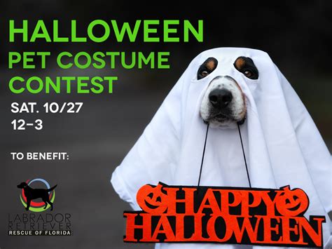 Halloween Dog Costume Contest Playalinda Brewing Co