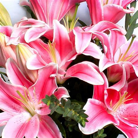Pink Lily Bouquet Floral Creations London Local Flower Delivery
