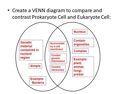 Compare And Contrast Prokaryotic And Eukaryotic Venn Diagram