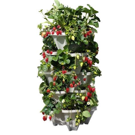 Mr Stacky Vertical 5 Tier Strawberry Herb Flower Planter The