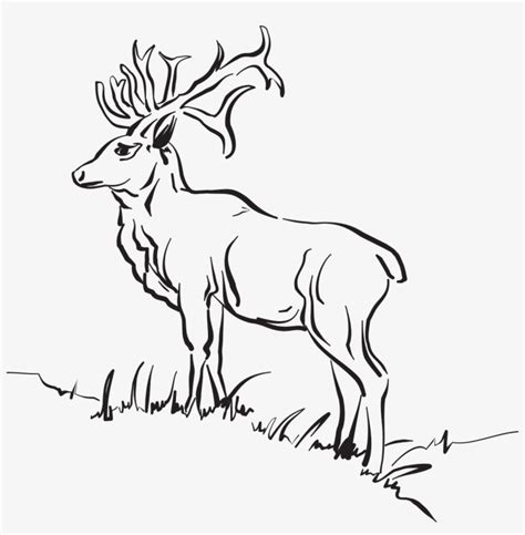 Animal Clipart Outlines