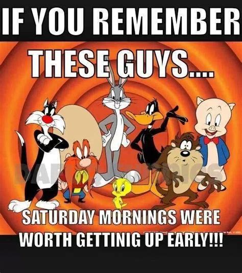 Loved My Saturday Mornings Looney Tunes Characters Classic Cartoons